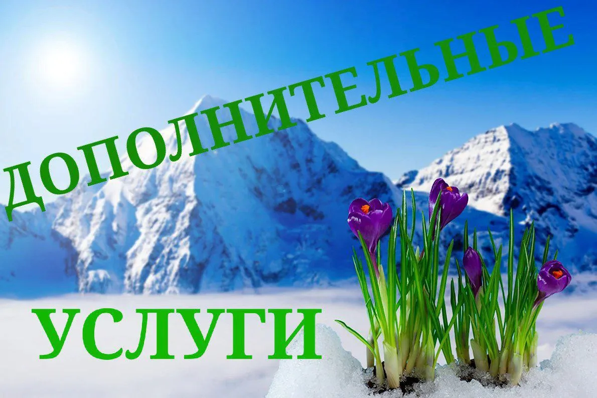 🟣БАЗОВЫЕ РАСЦЕНКИ
