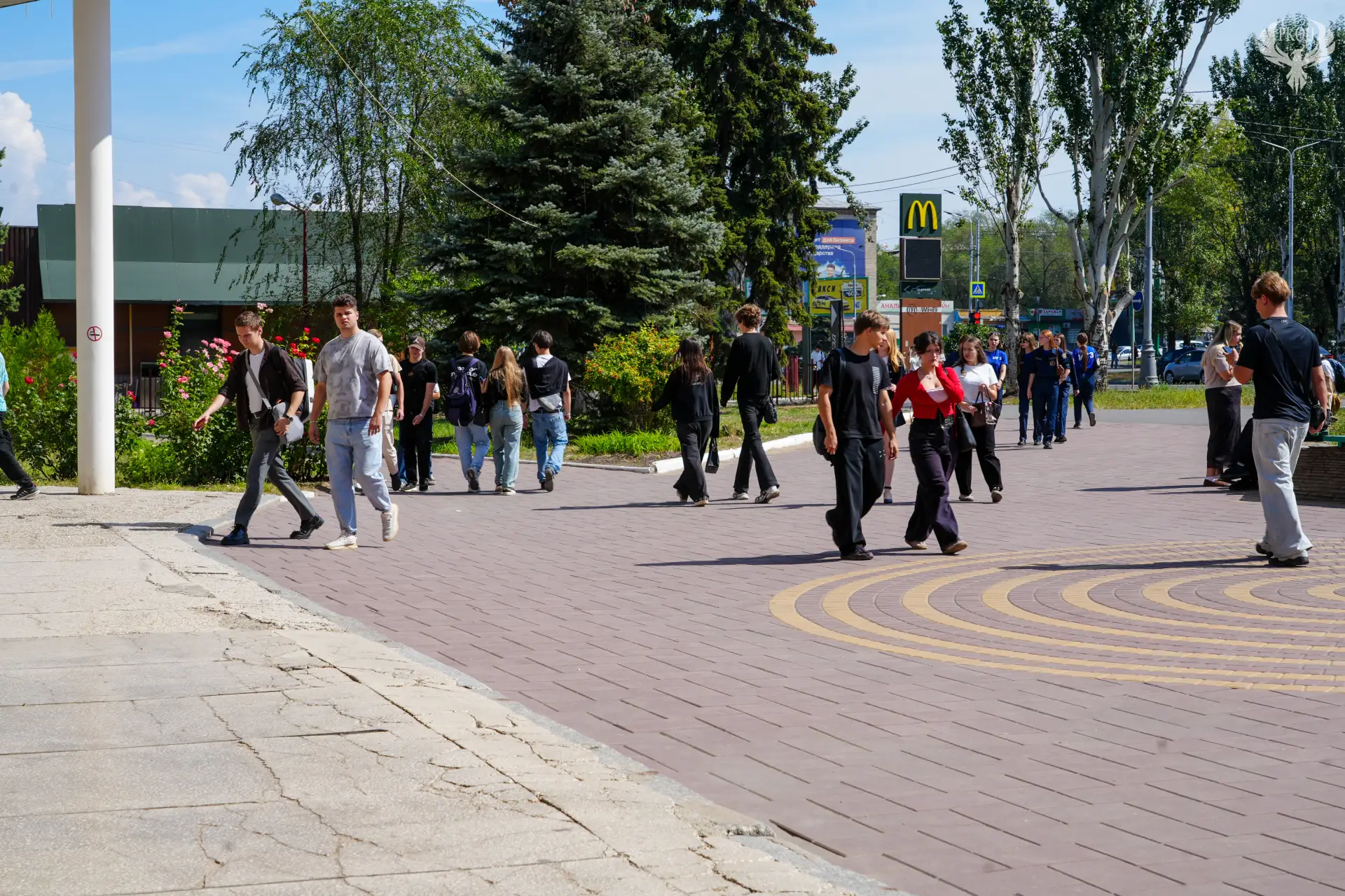 🎓 Первая учебная неделя позади!