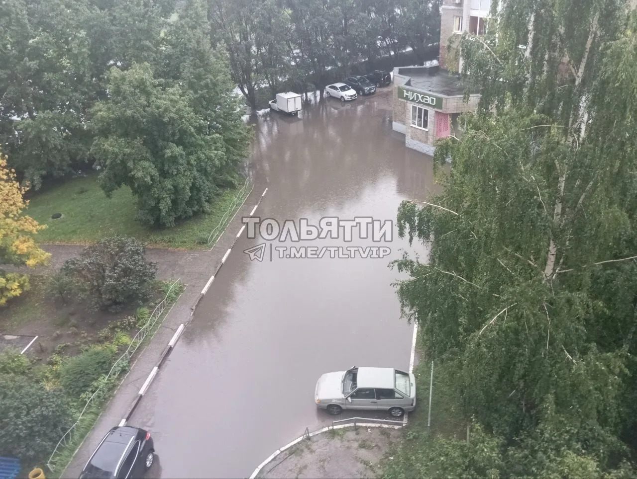 Офицерская - всё стабильно. Всё и всех затопило, а дождь ещё продолжается.