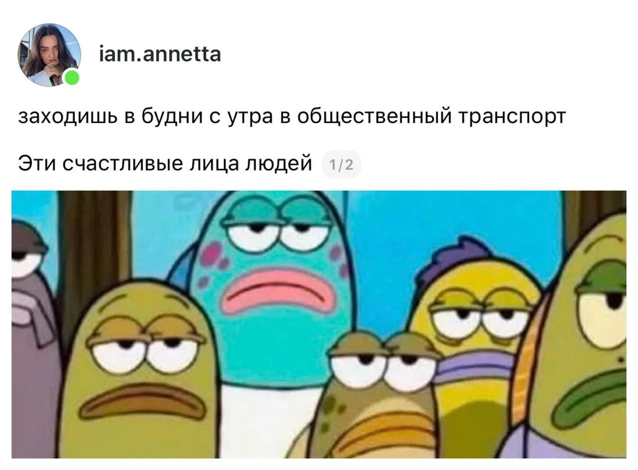 Ставь лайк, если прямо сейчас такое
