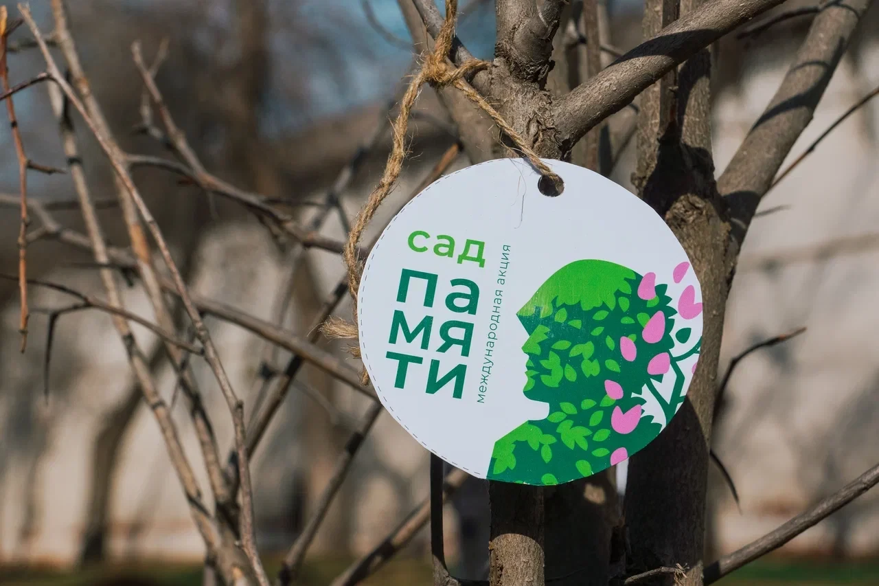 🌳 В Астраханской области Волонтёры Победы провели высадку «Сада памяти»  В этом году международная а