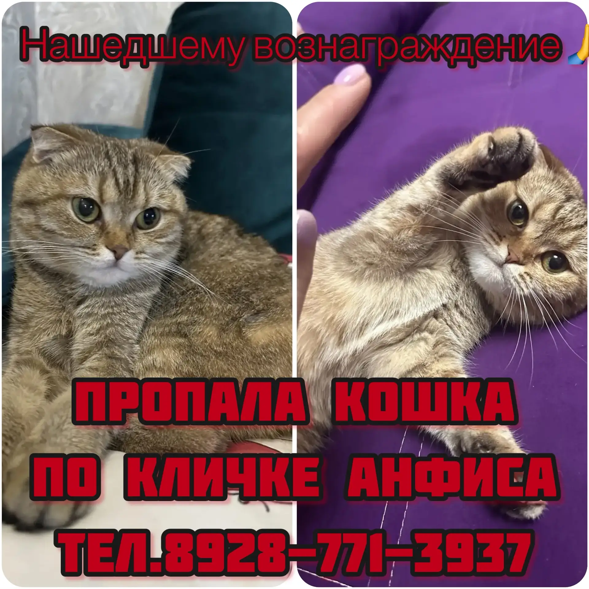 Район Артема