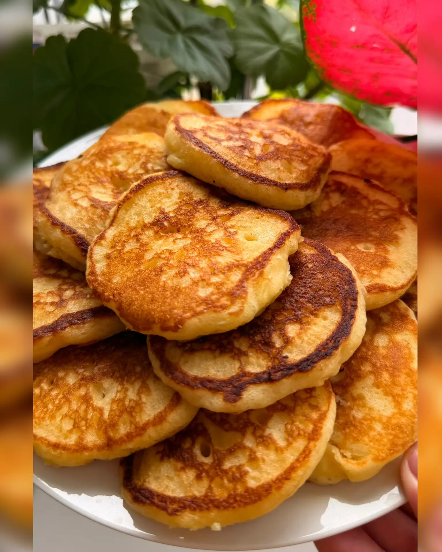 Доброе утро! На завтрак у нас оладушки с апельсиновой цедрой 🍊