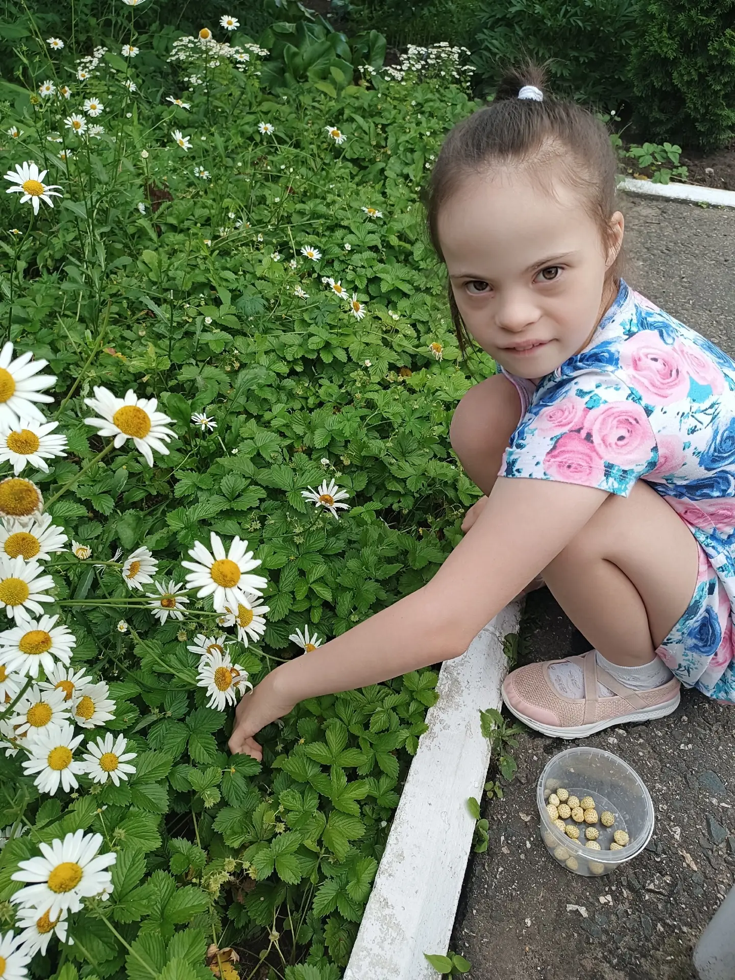🌿Пока солнце щедро дарит тепло, ребята не теряют времени даром: вместе со взрослыми собирают липовы