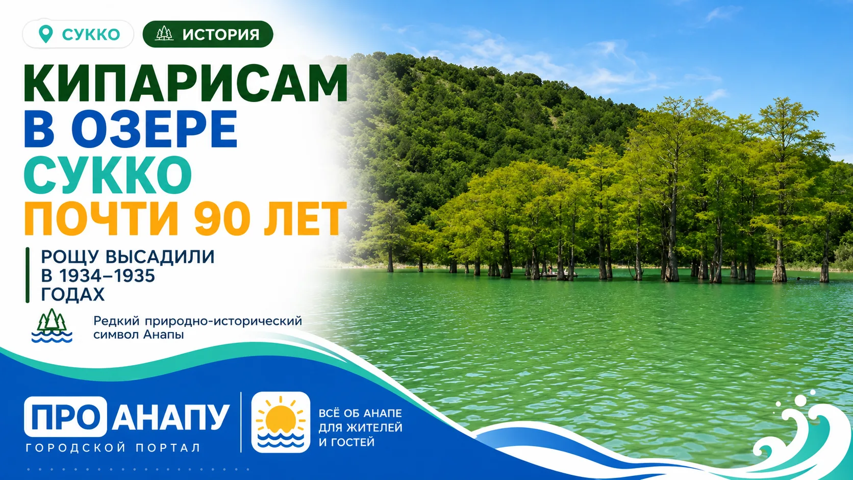 Кипарисы в озере Сукко высадили почти 90 лет назад