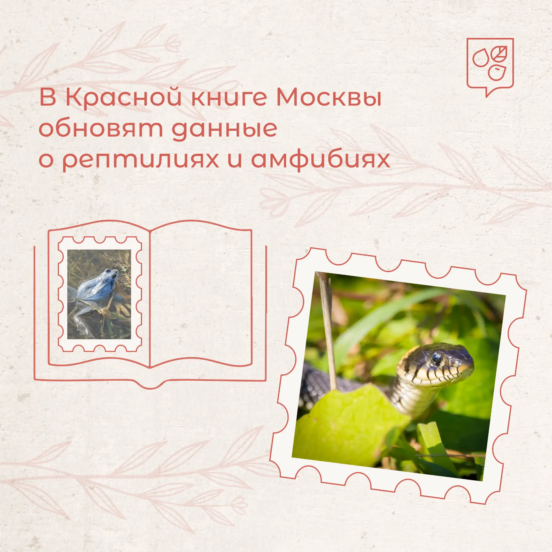 🦎 В столице обнаружили исчезнувшую веретеницу