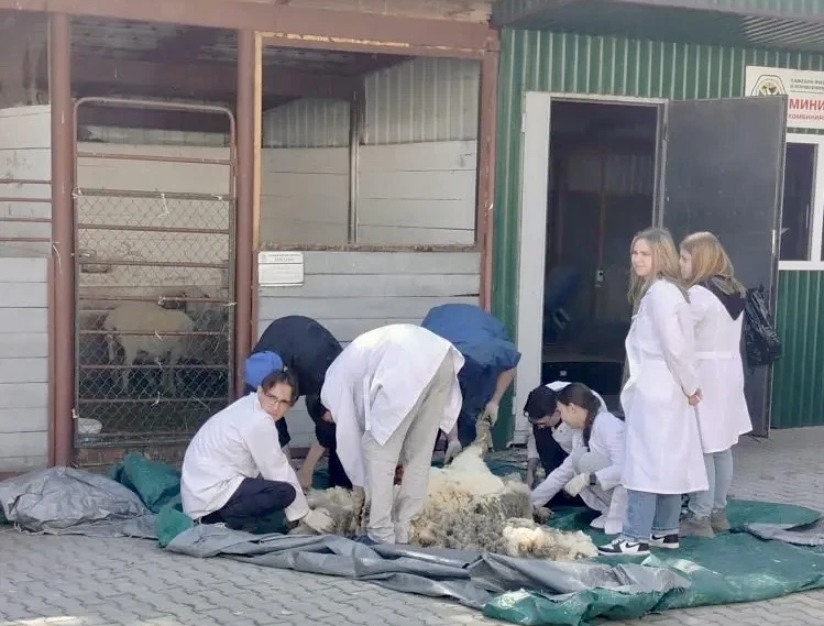 🌾Сегодня ученики 10В класса посетили Башкирский государственный аграрный университет (БГАУ).  Ребята