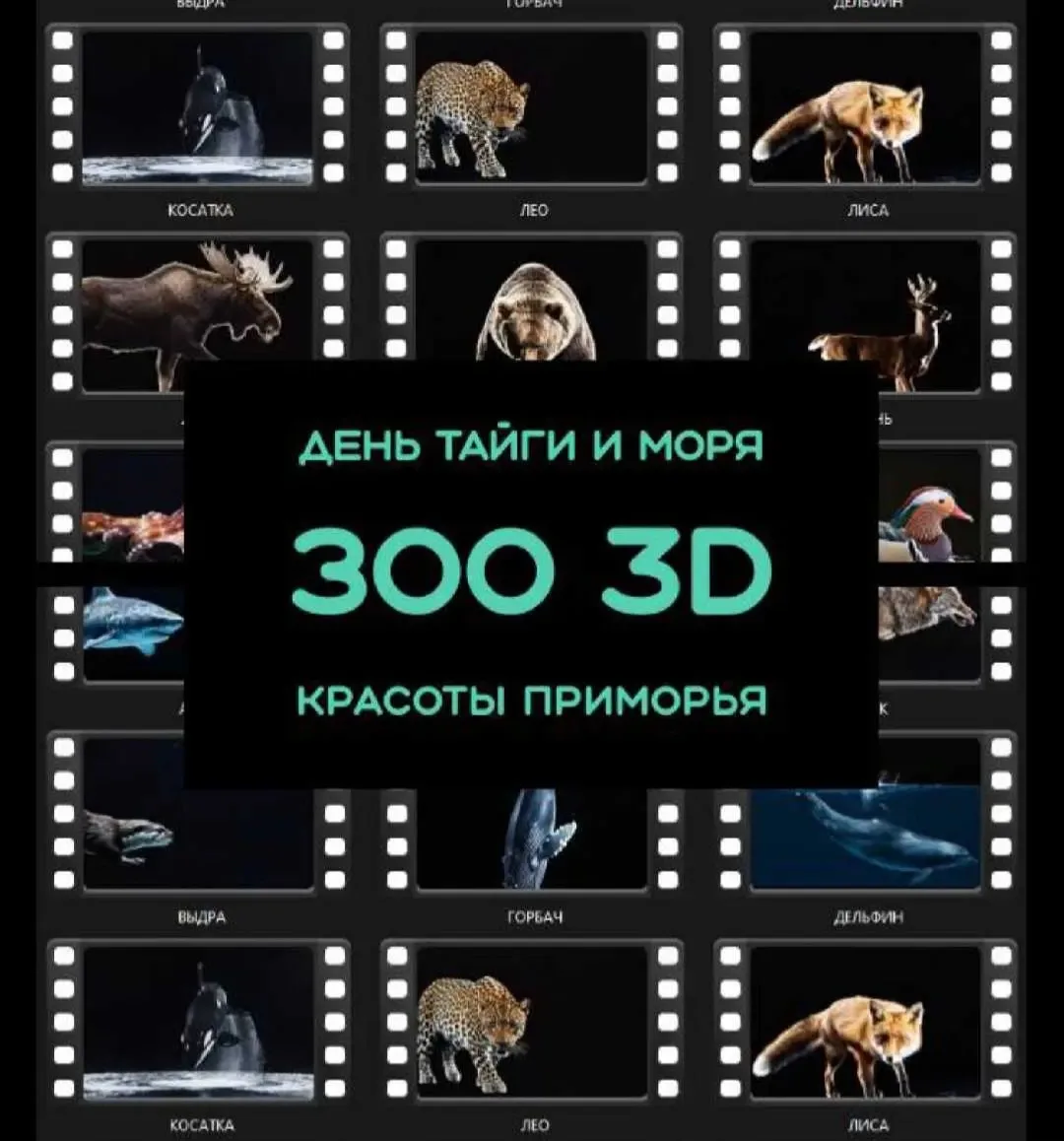 🌟 Чудеса случаются! 🎇