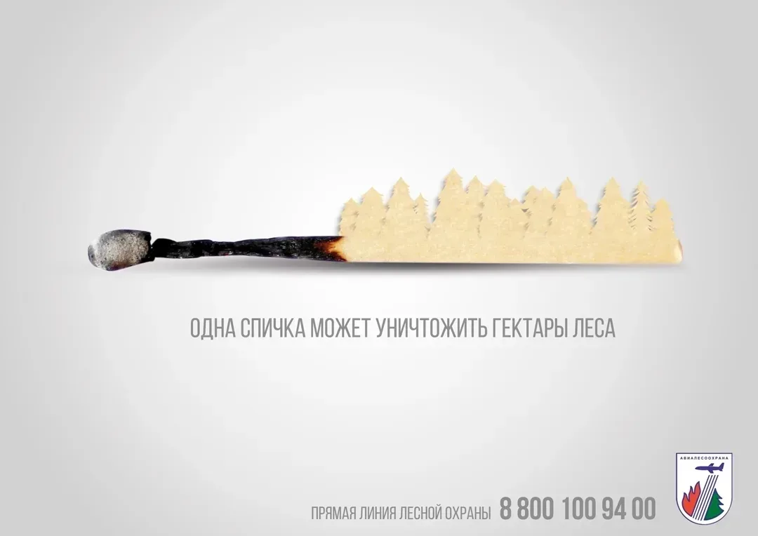«Останови огонь!»: вместе защитим леса России!