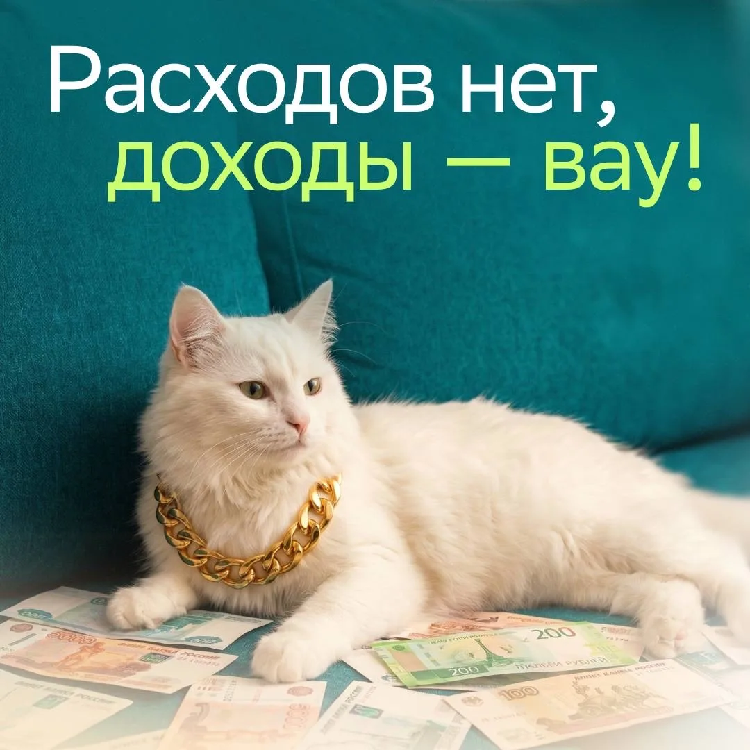 💰Ваши доходы радуют, а расходы по счёту равны нулю? У банка могут возникнуть вопросы по 115-ФЗ

Сег