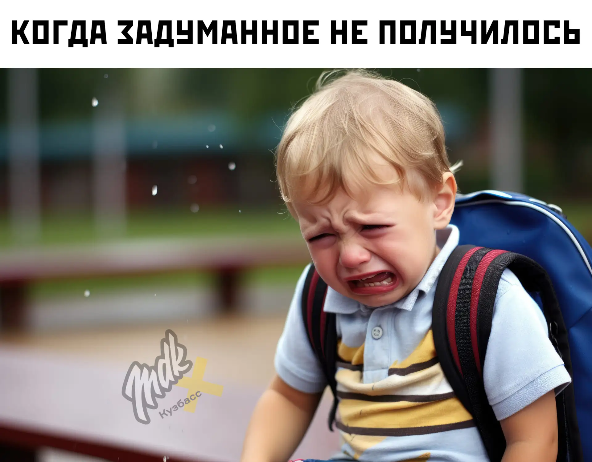 Двое пориджей хотели устроить мясо в школе Киселёвска, но суд не отправил их под домашн...