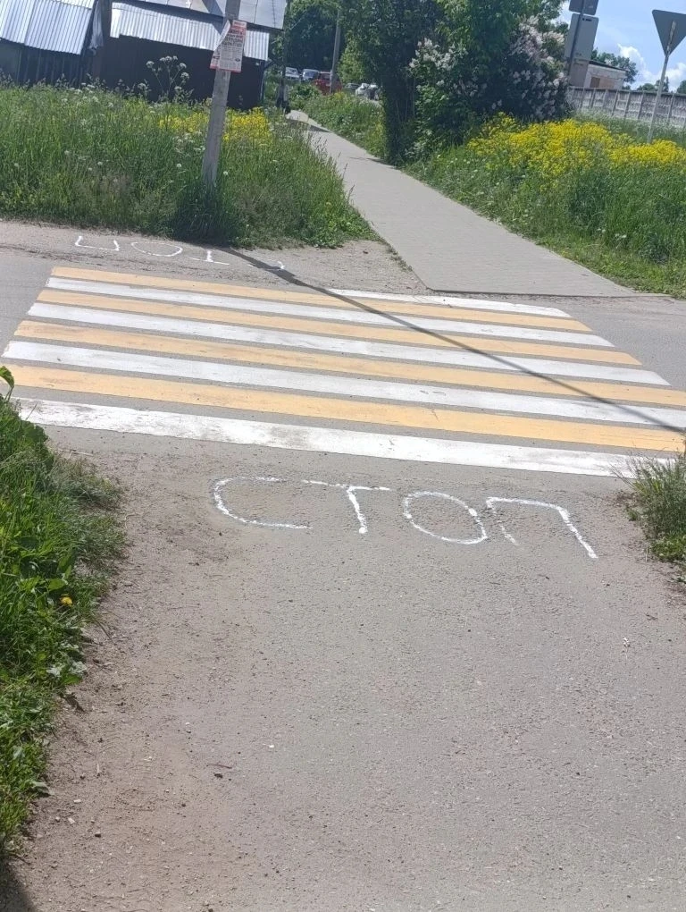 🚦 Акция "Безопасный переход"