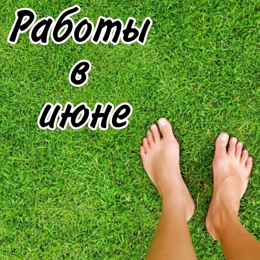 Это вы должны сделать в июне 🌱🥀