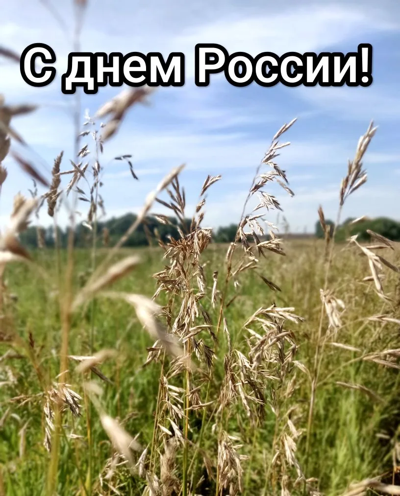 С Днем России!