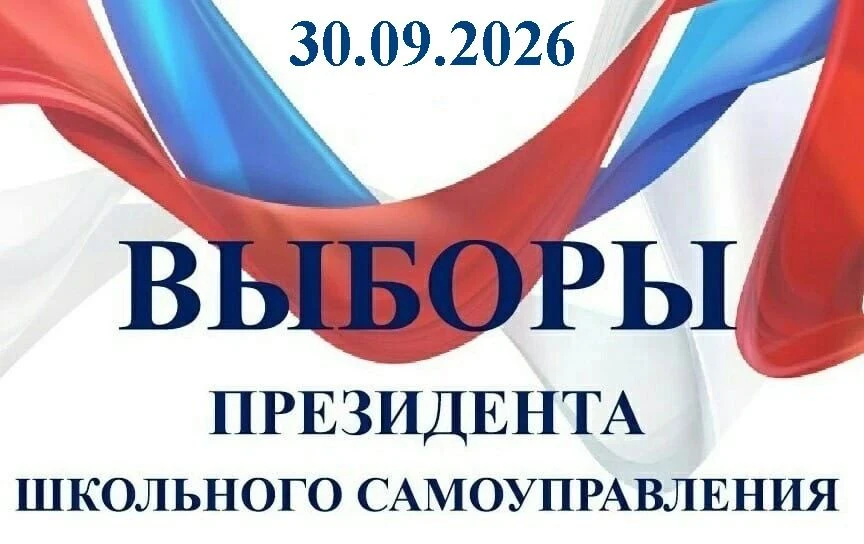 ПРЕДВЫБОРНАЯ КОМПАНИЯ