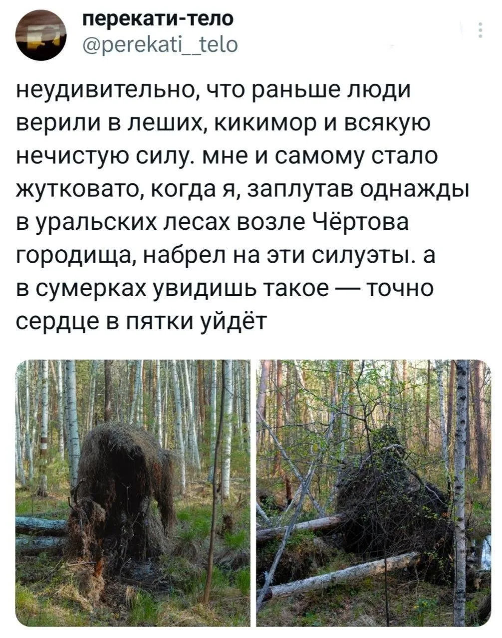 Один смех | в MAX