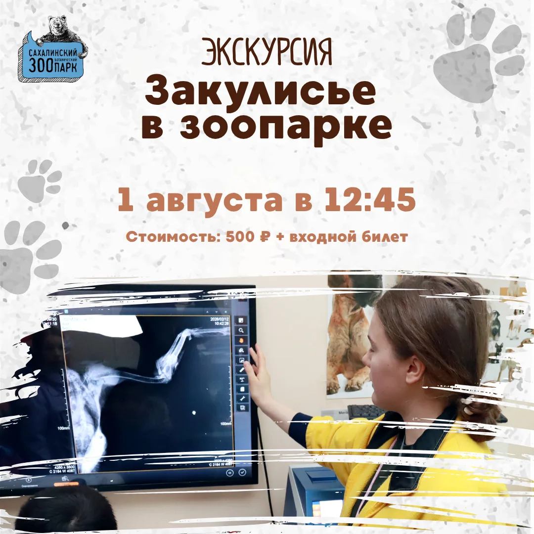 💥 Сделать это лето незабываемым возможно с экскурсией по закулисью зоопарка. Новый сеанс уже ждёт с