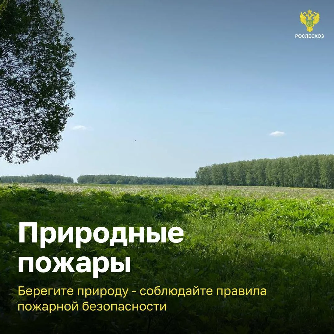 АЗБУКА БЕЗОПАСНОСТИ.