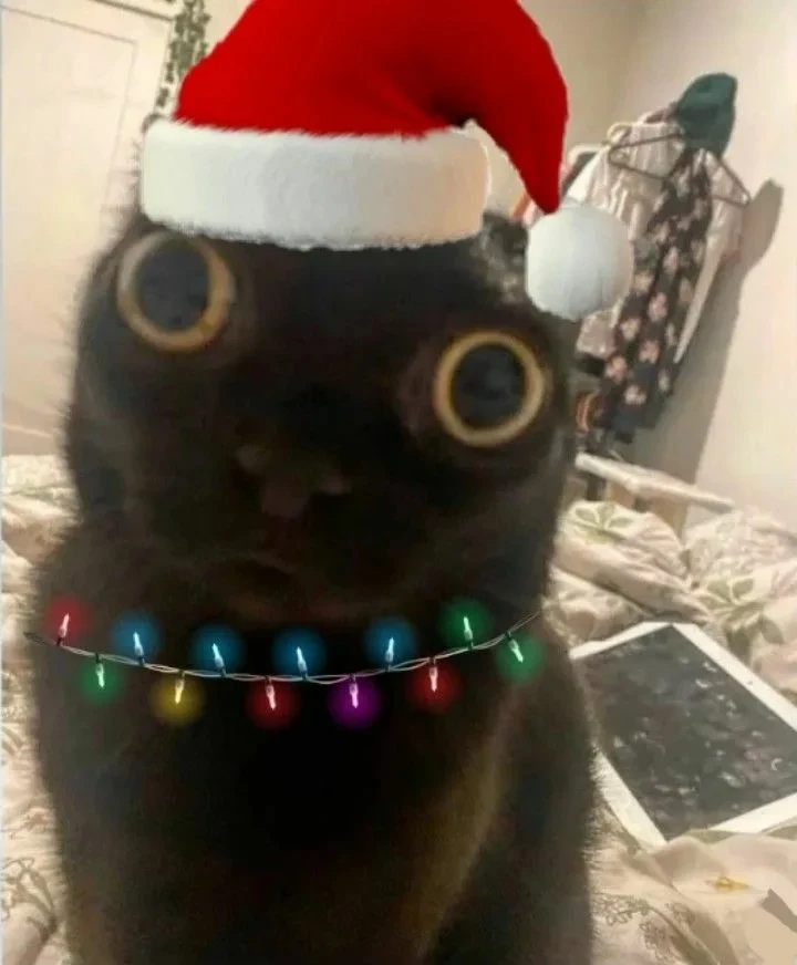 🎄 77 раз нам нужно сходить на работу, и наступит Новый год, держимся!