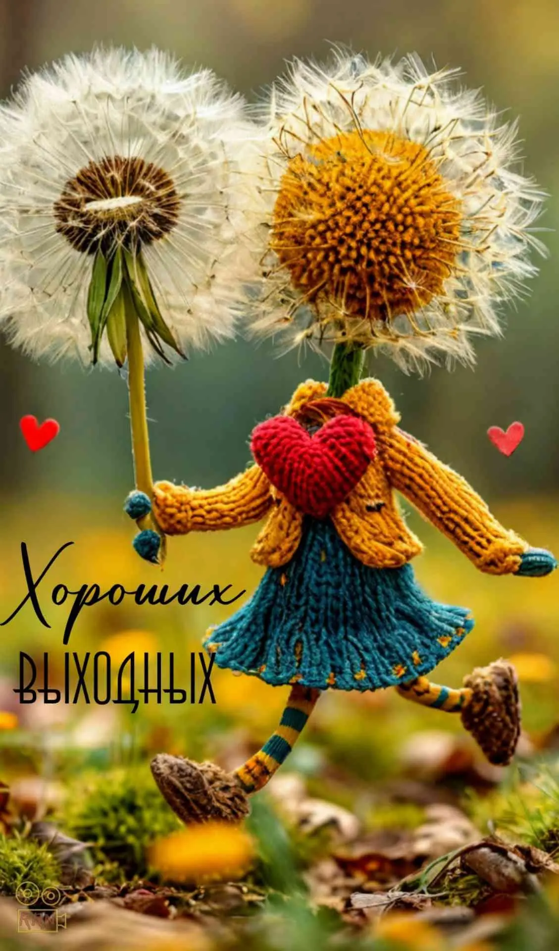 На подходе первые сентябрьские выходные.
