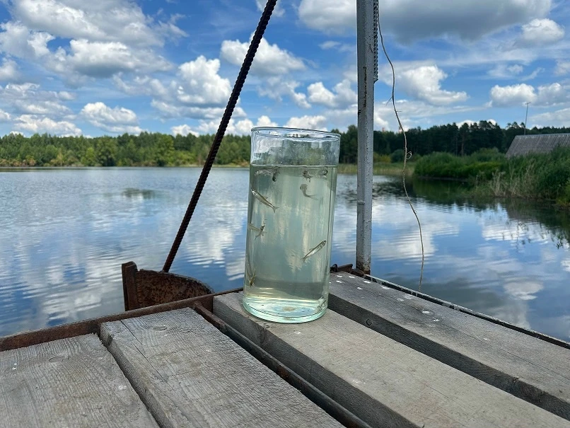 🐠«Городские очистные сооружения» пополнили реку Томь молодью муксуна