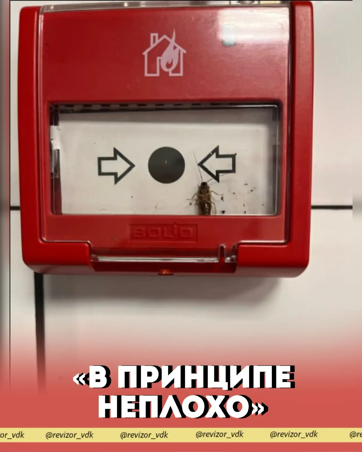 "в принципе неплохо"