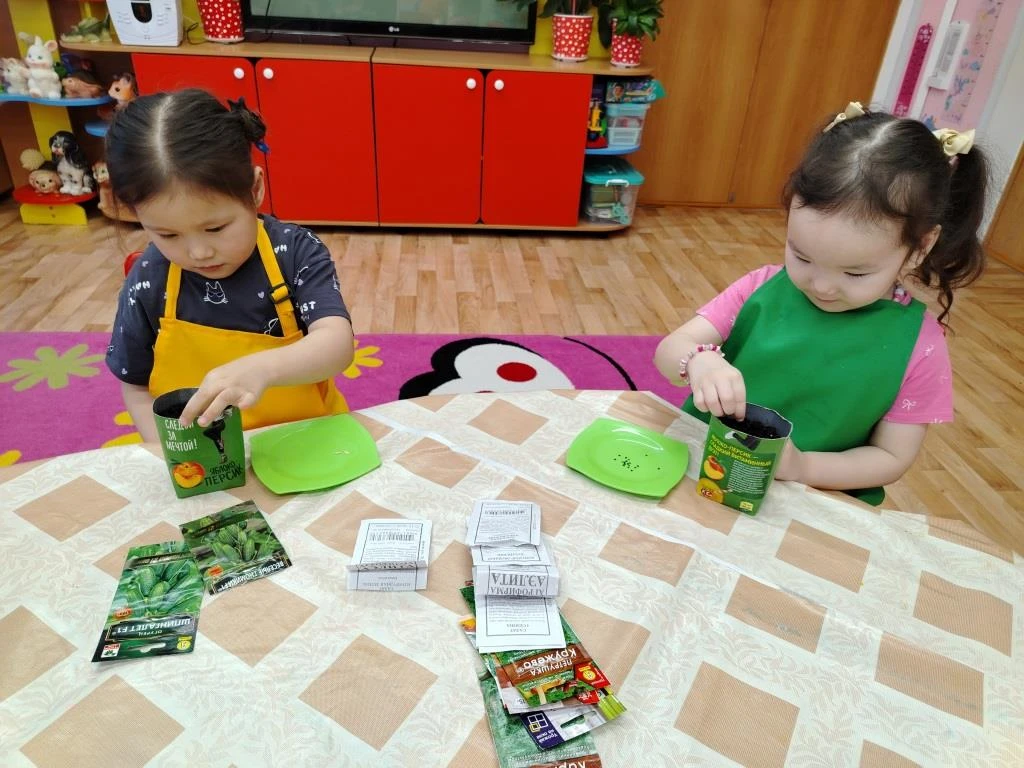 Огород на окне в группе «Капелька»: вспоминаем, как это было 🌱