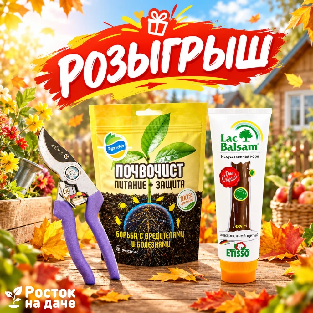 Итоги розыгрыша! 🥳
