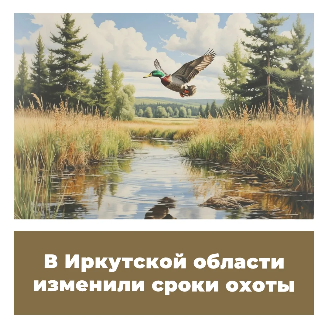 Указом Губернатора Иркутской области от 31.07.2026 № 320-уг установлены новые региональ...