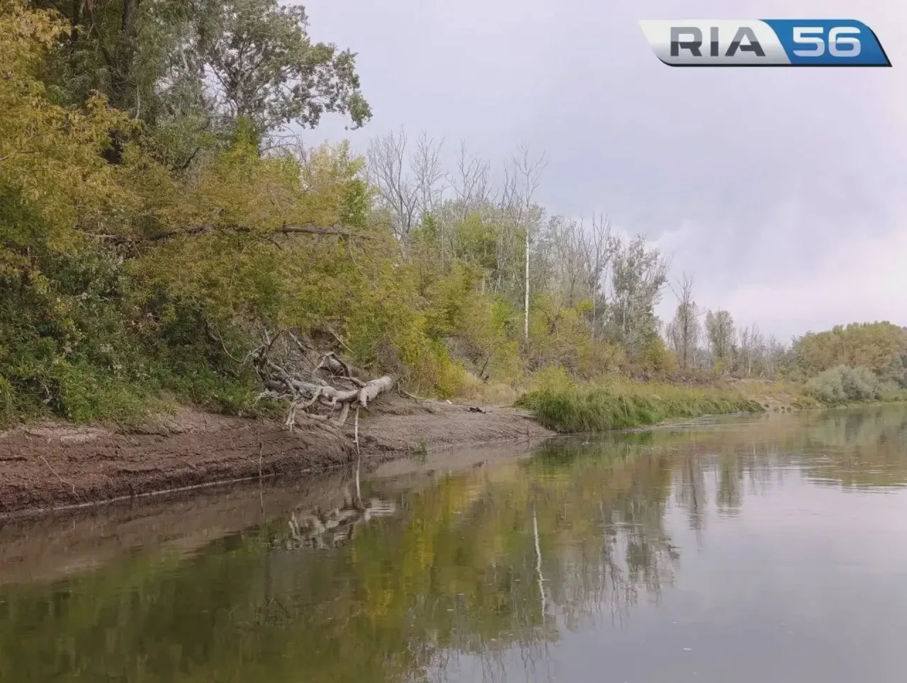 В Бузулуке из реки извлекли тело мужчины
