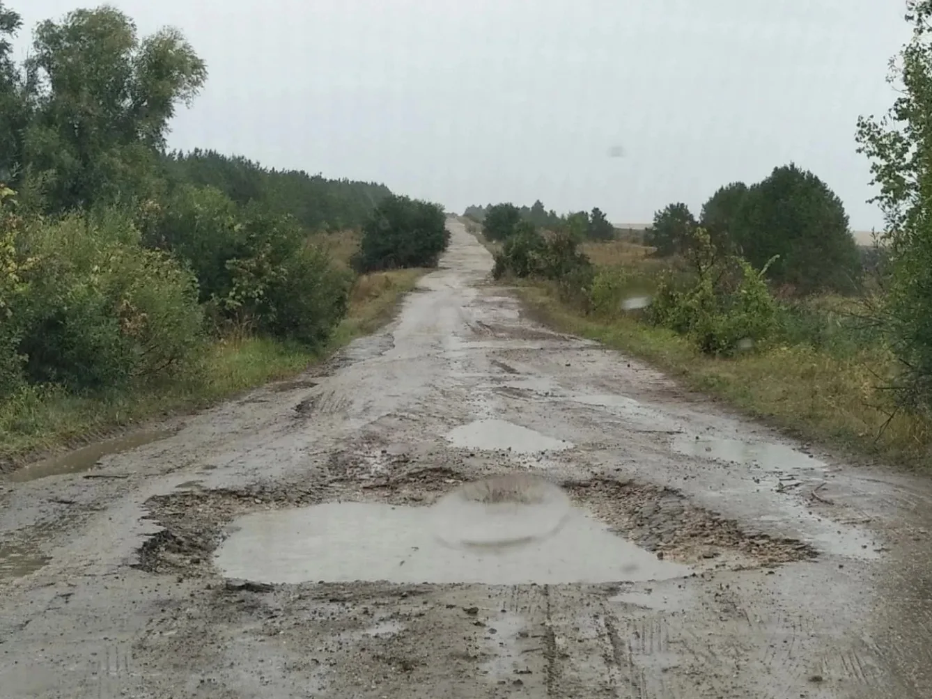 🚧 Из-за разбитой дороги в Вольском районе возбудили уголовное дело