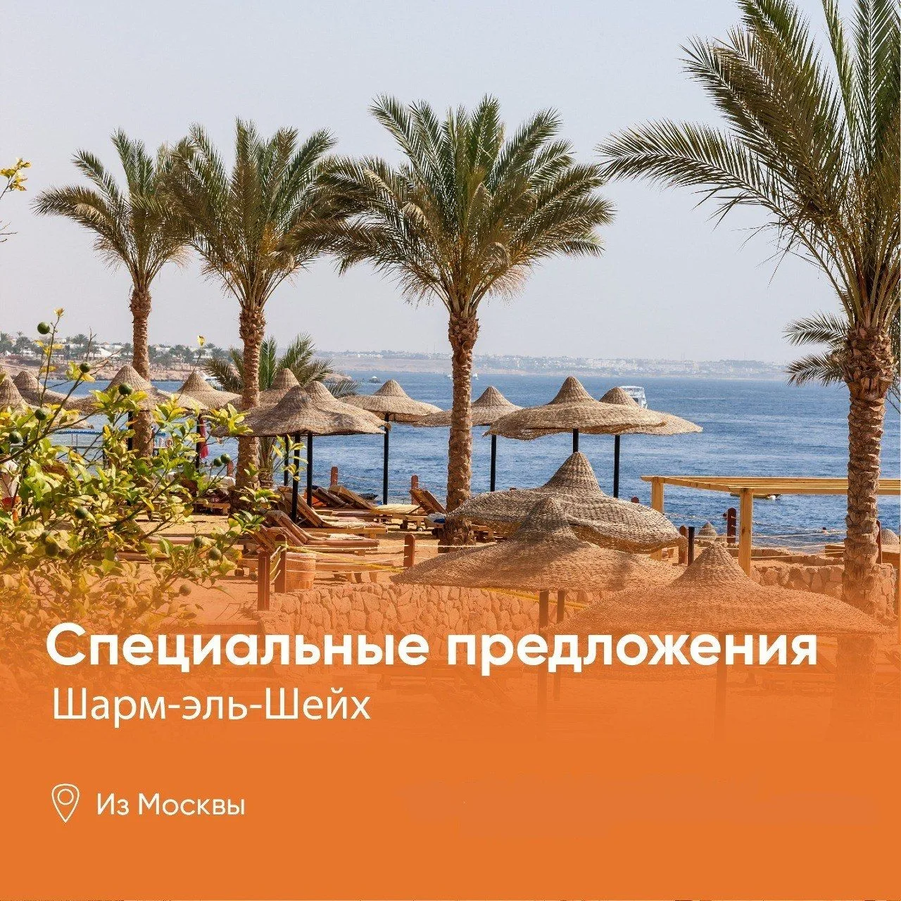 ☀Египет – Шарм-Эль-Шейх ‼Отличная ЦЕНА
 
✈Вылет 18.05.2026 на 7 ночей All Inclusive
Sharm Bride Aqua