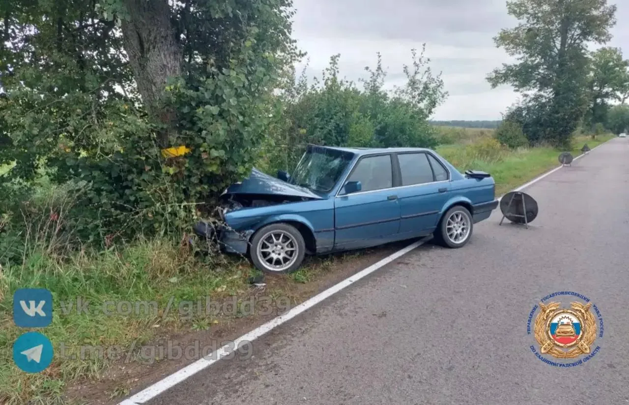 В Черняховском районе BMW врезался дерево
