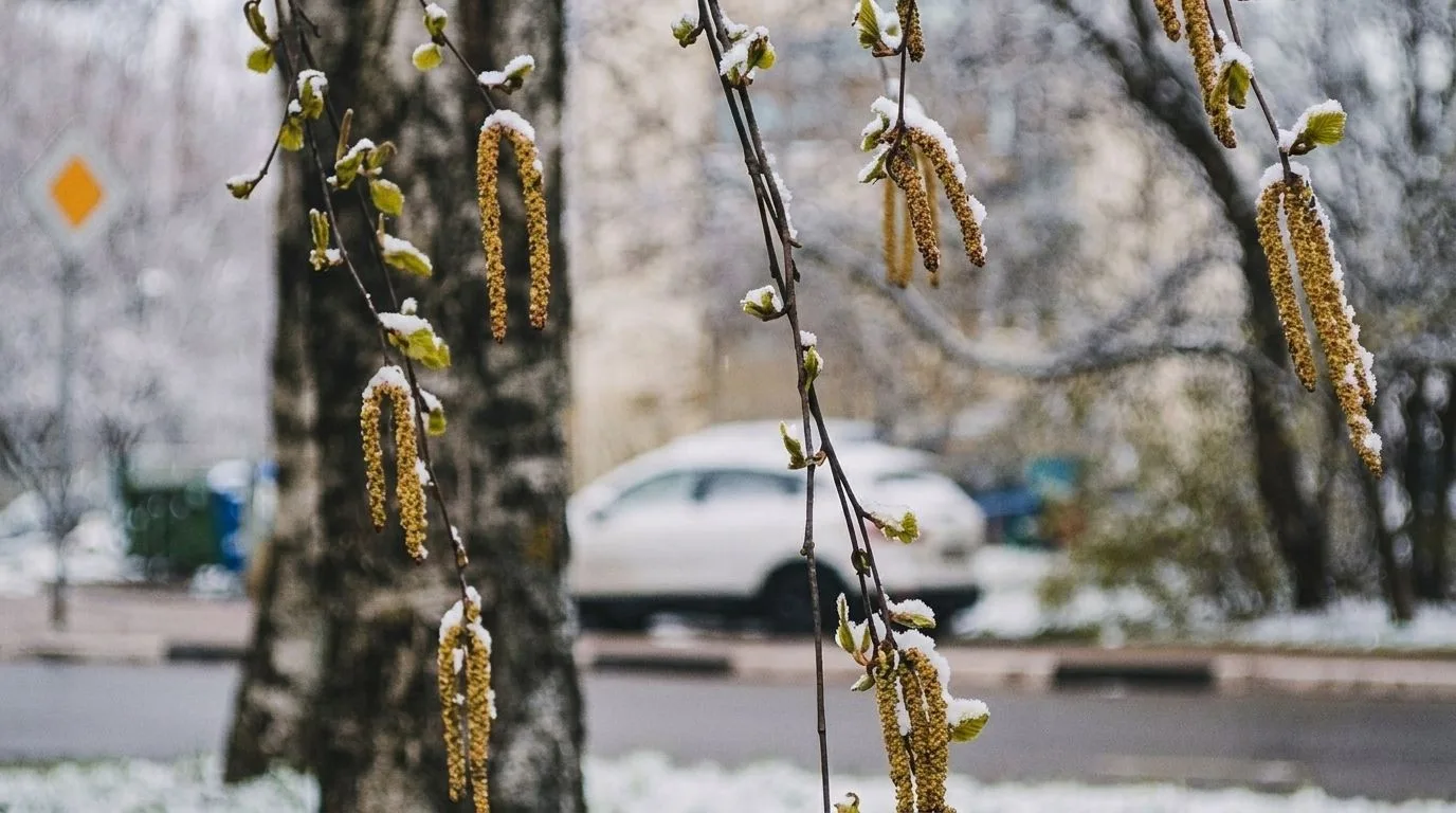 ❄️ Стало известно, когда жители Тверской области увидят первый снег