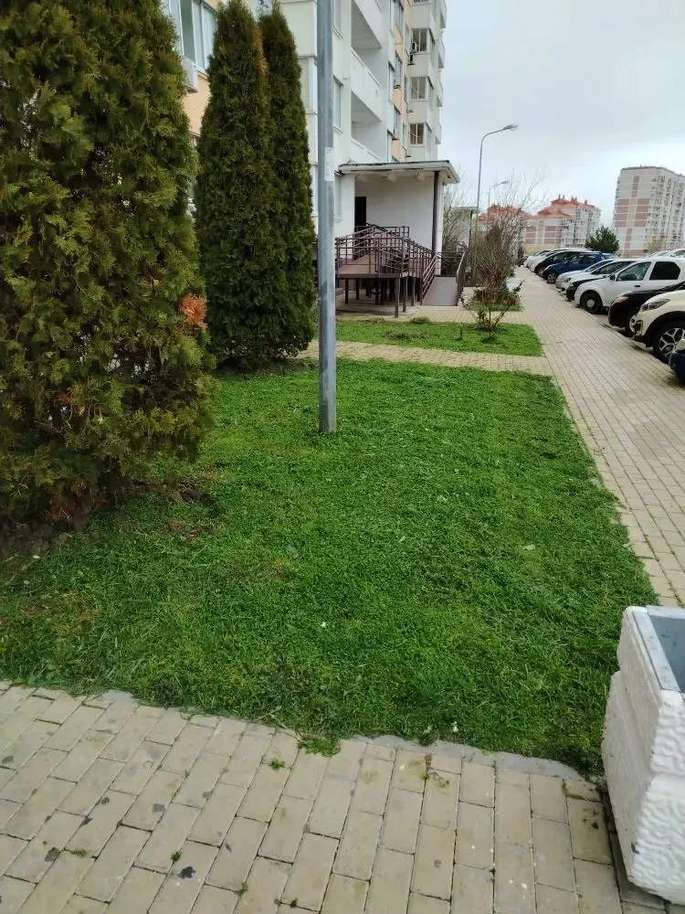 Уважаемые жители наших МКД по адресу: шоссе Супсехское🕊  🌿 Помпокос травы: забота о доме и душе  Каж