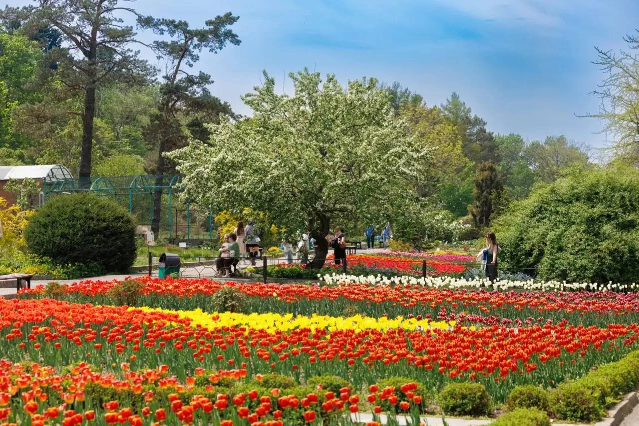Надеваем легкое платье, крылышки (по желанию) и идем фоткаться в Ботсад! 🧚‍♀️  В Ботаническом саду в