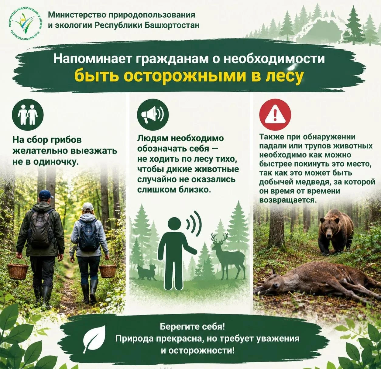 🍄 Грибной сезон в разгаре — помните о безопасности в лесу!