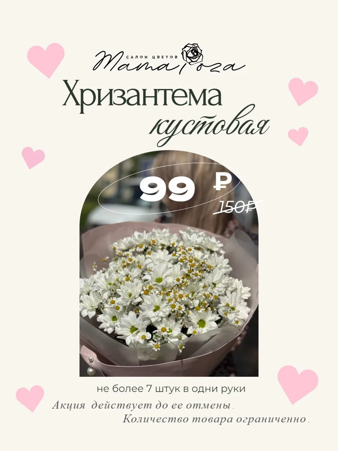Та самая хризантема за 99₽! 🌼 Мы обещали — и вот ОНИ!