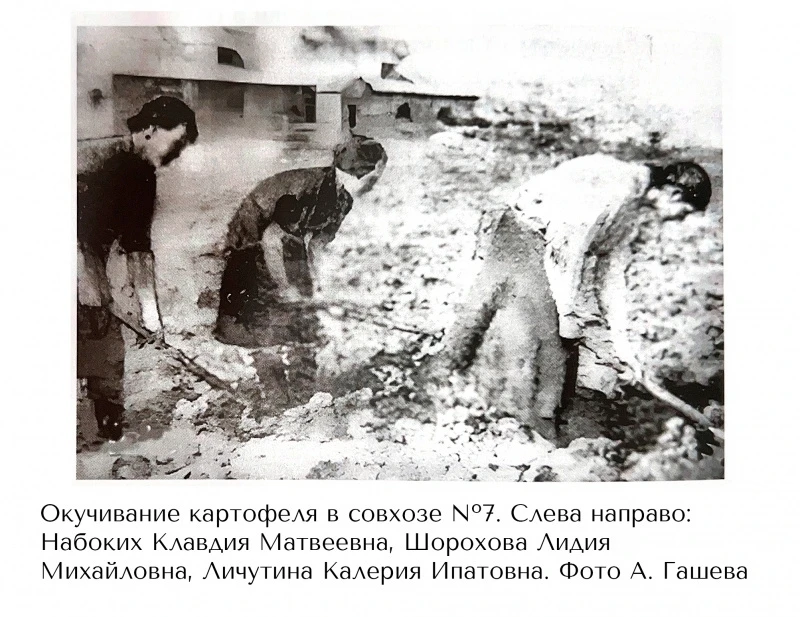 12 организаций поддержали присвоение Нарьян-Мару звания «Город трудовой доблести»