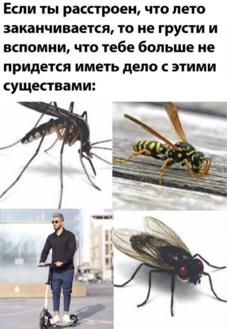 До конца лета осталось всего 7 дней