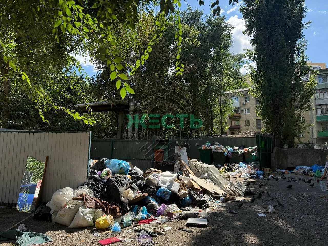 🗑 Воронежцы пожаловались на свалку, которая больше трёх лет растёт у детского сада.