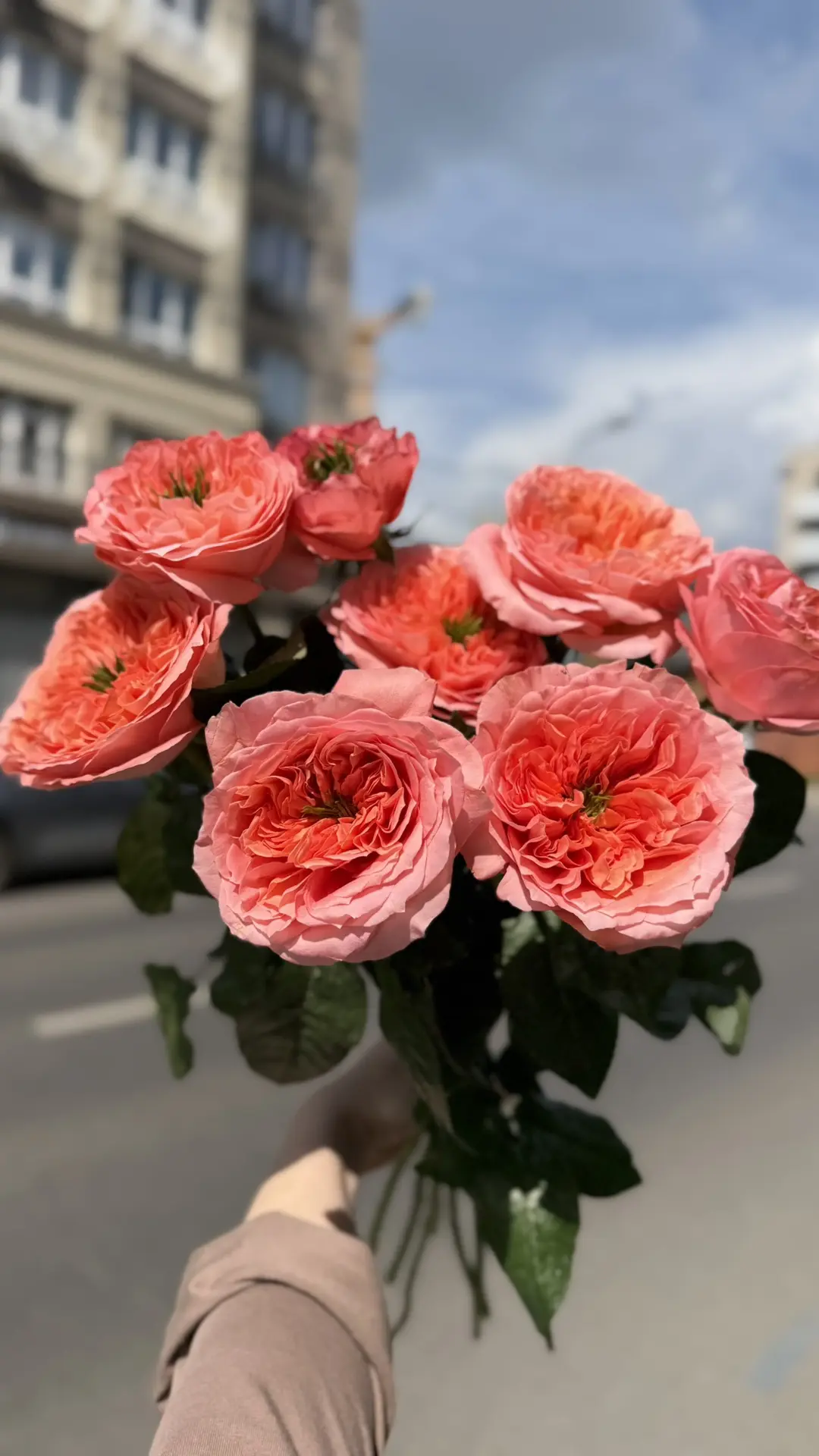Сочные новинки в нашей студии! ✨

Свежесть, яркость и настроение лета — собрали для вас самые эффект