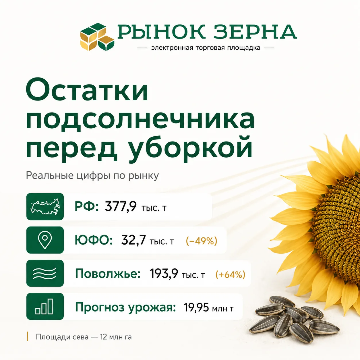 📉 Остатки подсолнечника перед уборкой: Росстат раскрыл реальные цифры