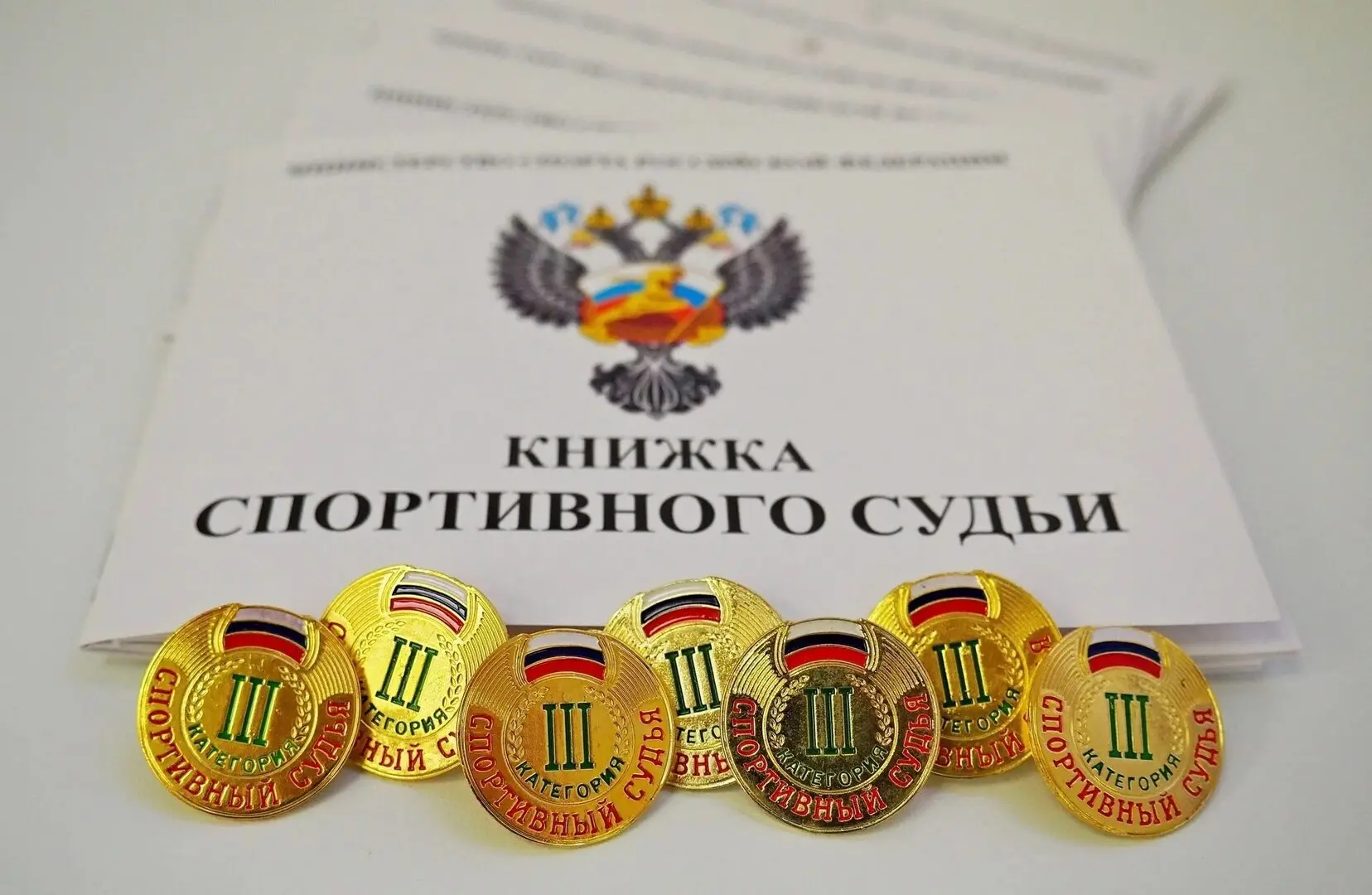 🎉 Поздравляем с присвоением судейских категорий Золотарева Федора Владимировича, Давыд...