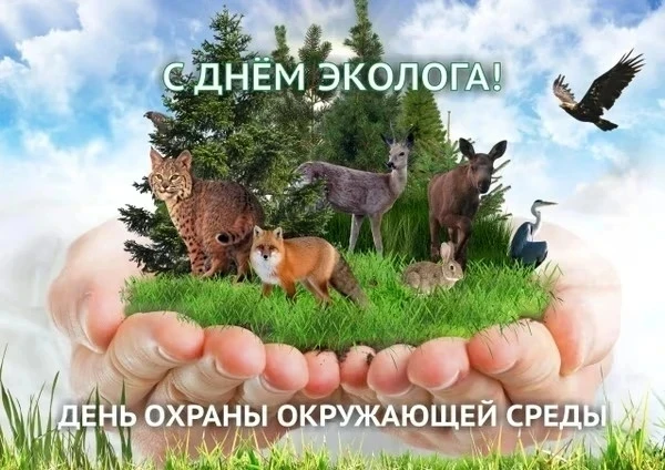 В рамках празднования Всемирного дня окружающей среды  ребята из летнего лагеря школ в ГБУДО «Респуб