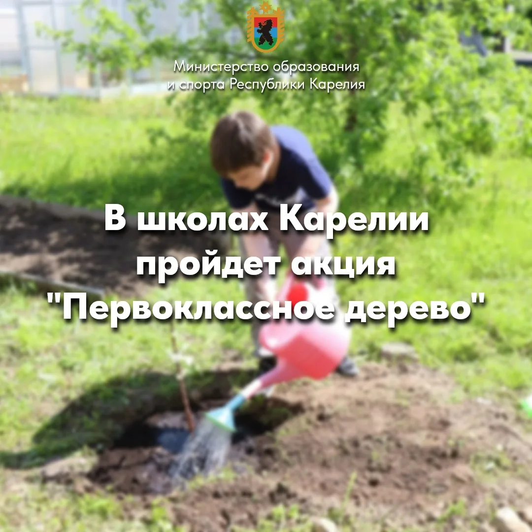 С 1 по 6 сентября 2026 года в школах республики состоится акция «Первоклассное дерево».