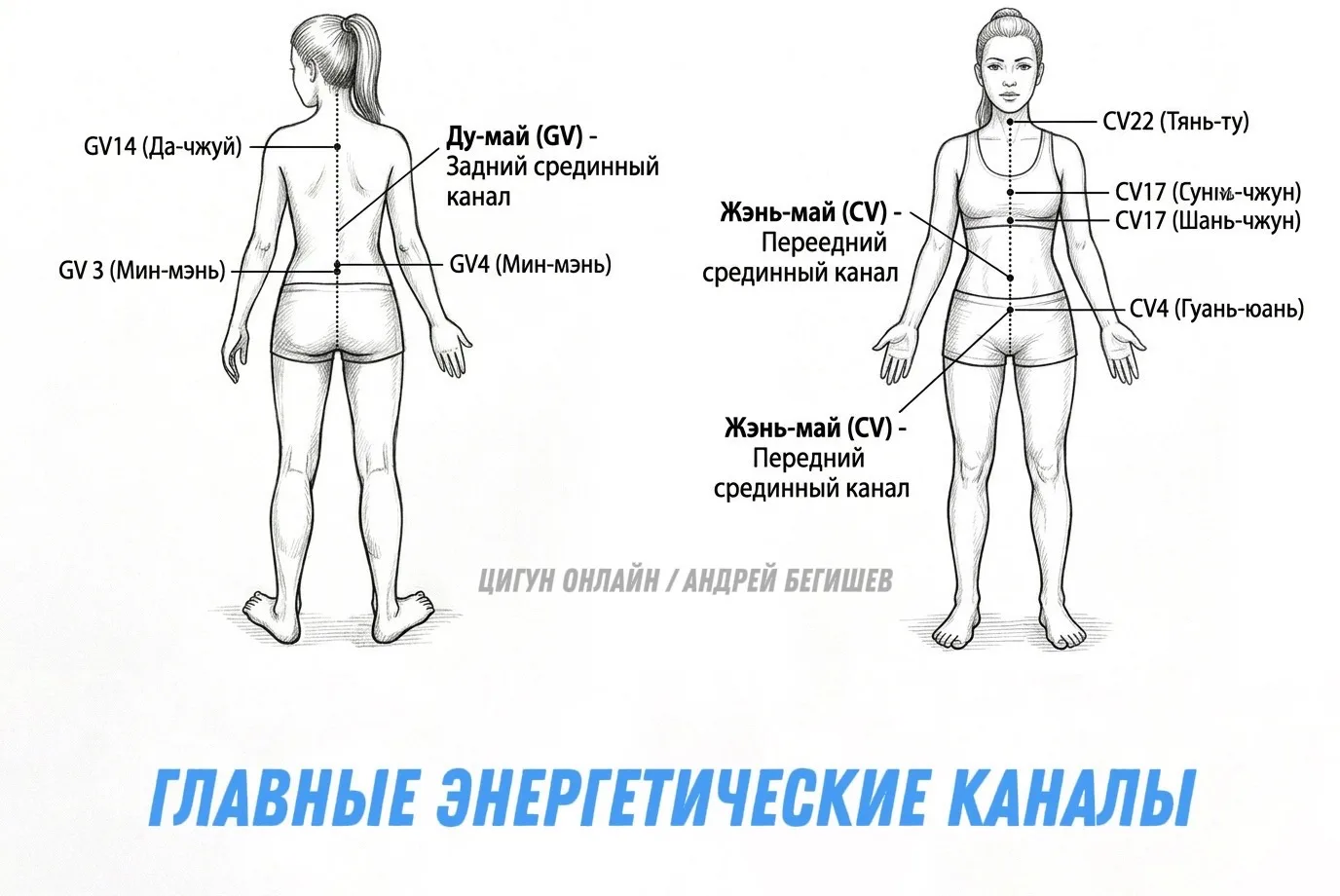ГЛАВНЫЕ ЭНЕРГЕТИЧЕСКИЕ КАНАЛЫ ЖЭНЬ-МАЙ и ДУ-МАЙ.