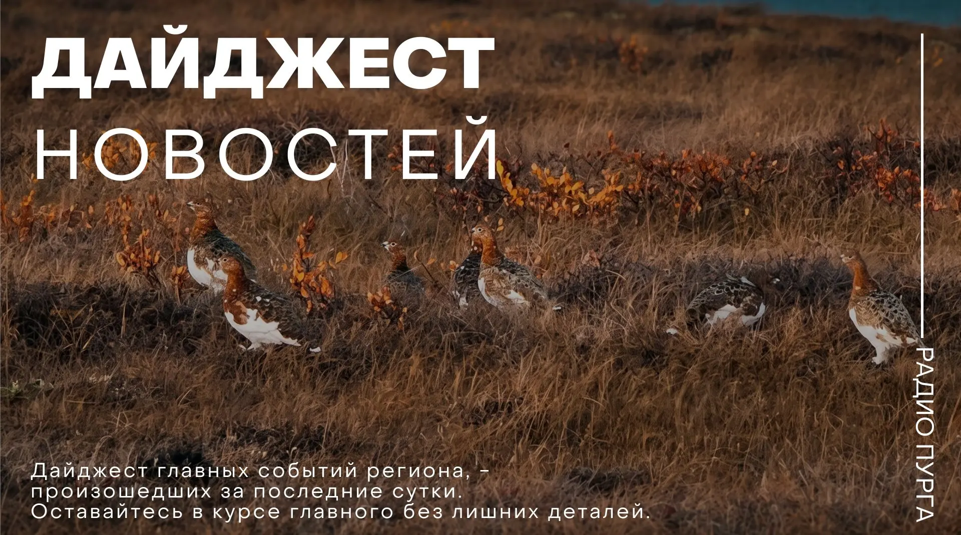 🔻 Коротко о главных событиях Чукотки за последние сутки, 6 октября: