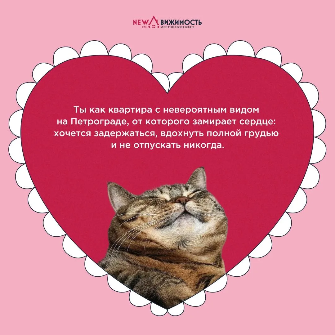 💓 Рядом с вами уже живет ваш самый важный человек  Многие не признают 14 февраля как праздник всех в