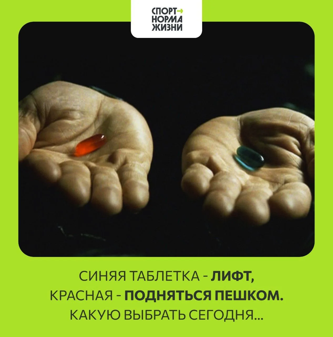 Спорт — это серьёзно, но смеяться над собой — ещё полезнее! Ловите порцию жизненного юм...